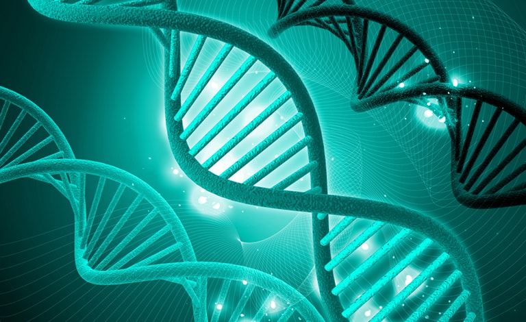 illustrazione del DNA