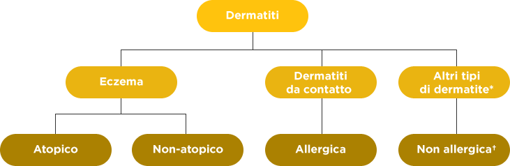 Le dermatiti si dividono in Eczema, Dermatiti da contatto e altri tipi di dermatite. L'eczema può essere atopico o non atopico. Le dermatiti allergiche sono un sottoinsieme delle dermatiti da contatto.